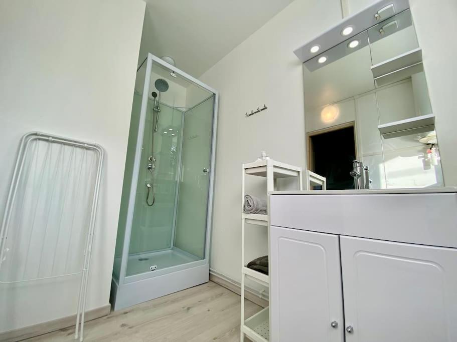 105 Studio Immeuble Perseverance Conflans-en-Jarnisy Екстер'єр фото